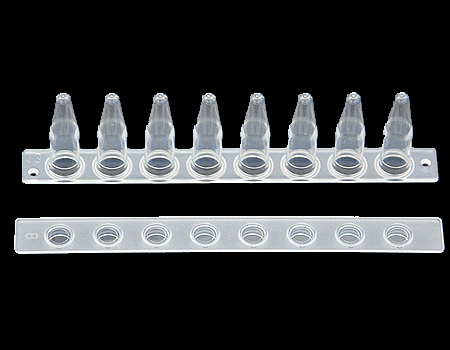0.2ML 8 strip tubes with opitical flat strip caps, Natural color tubes